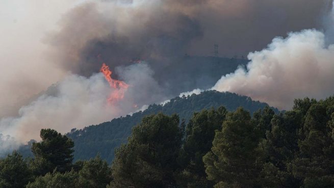 Un periodista separatista culpa a los «pirómanos unionistas que odian a los catalanes» de los incendios