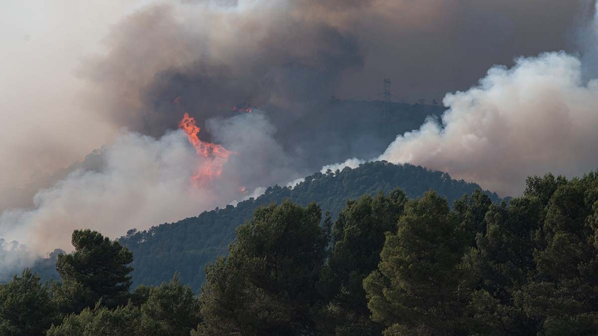 Columna de fuego y humo del incendio localizado en Santa Coloma de Queralt