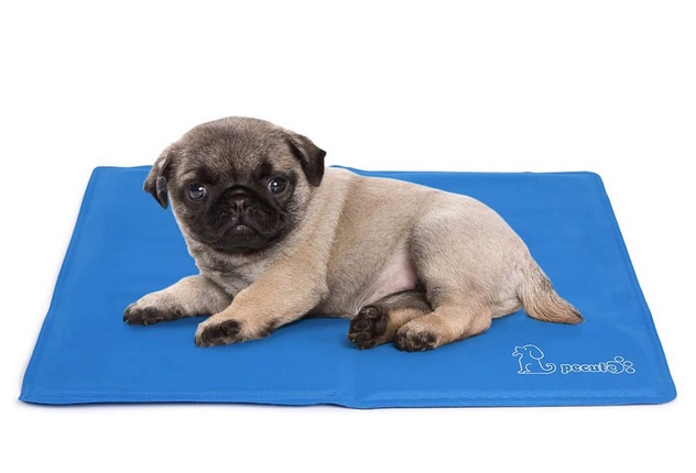 Así es la alfombra refrescante para mascotas más vendida de Amazon