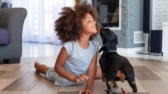 Cómo hacer una alfombra olfativa o sensorial para perros