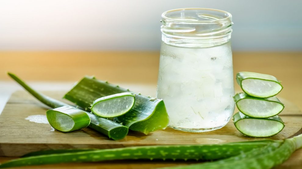 Cómo Aliviar Las Quemaduras Con Aloe Vera Rápidamente