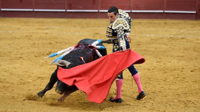 Toros Segovia