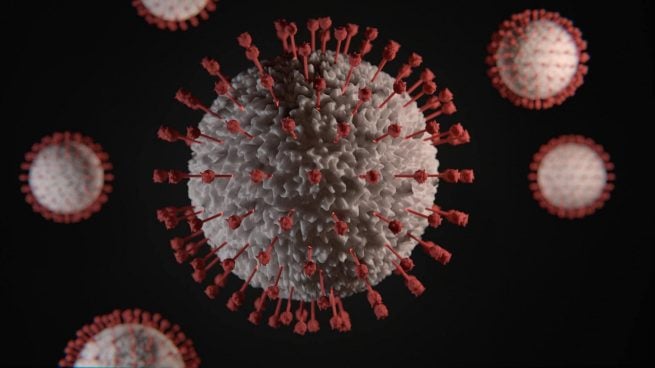 Expertos pronostican si el coronavirus llegará a desaparecer