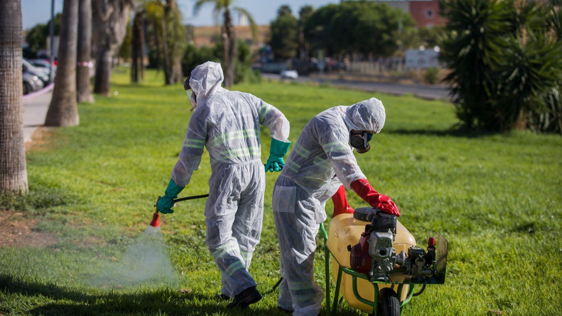 Trabajadores fumigan contra los mosquitos causantes del virus del Nilo en Coria del Río, Sevilla (MARÍA JOSÉ LÓPEZ / EUROPA PRESS).
