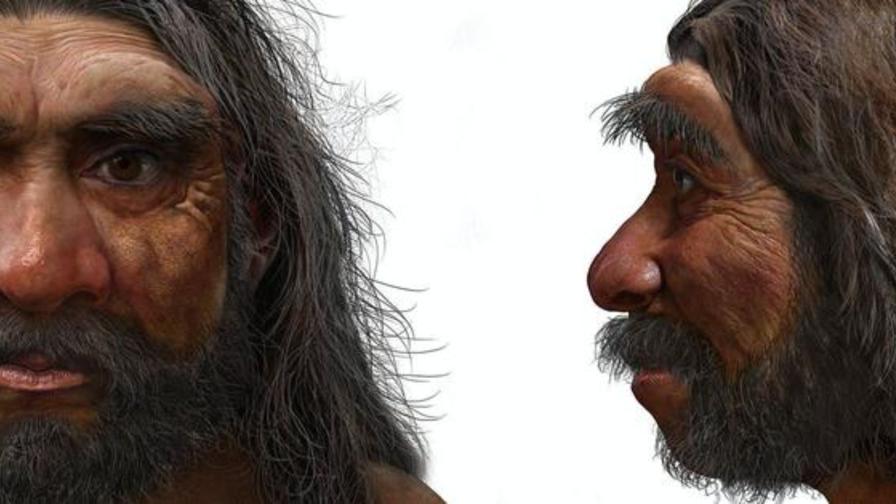 Se analiza el cráneo de una posible especie humana anterior a los neandertales/ Foto :Chuang Zao/AFP