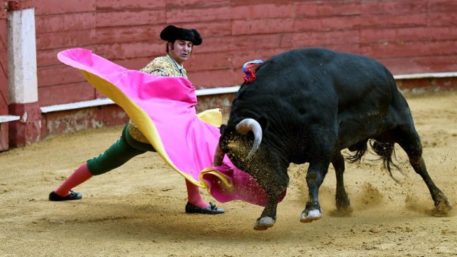 toros Almería