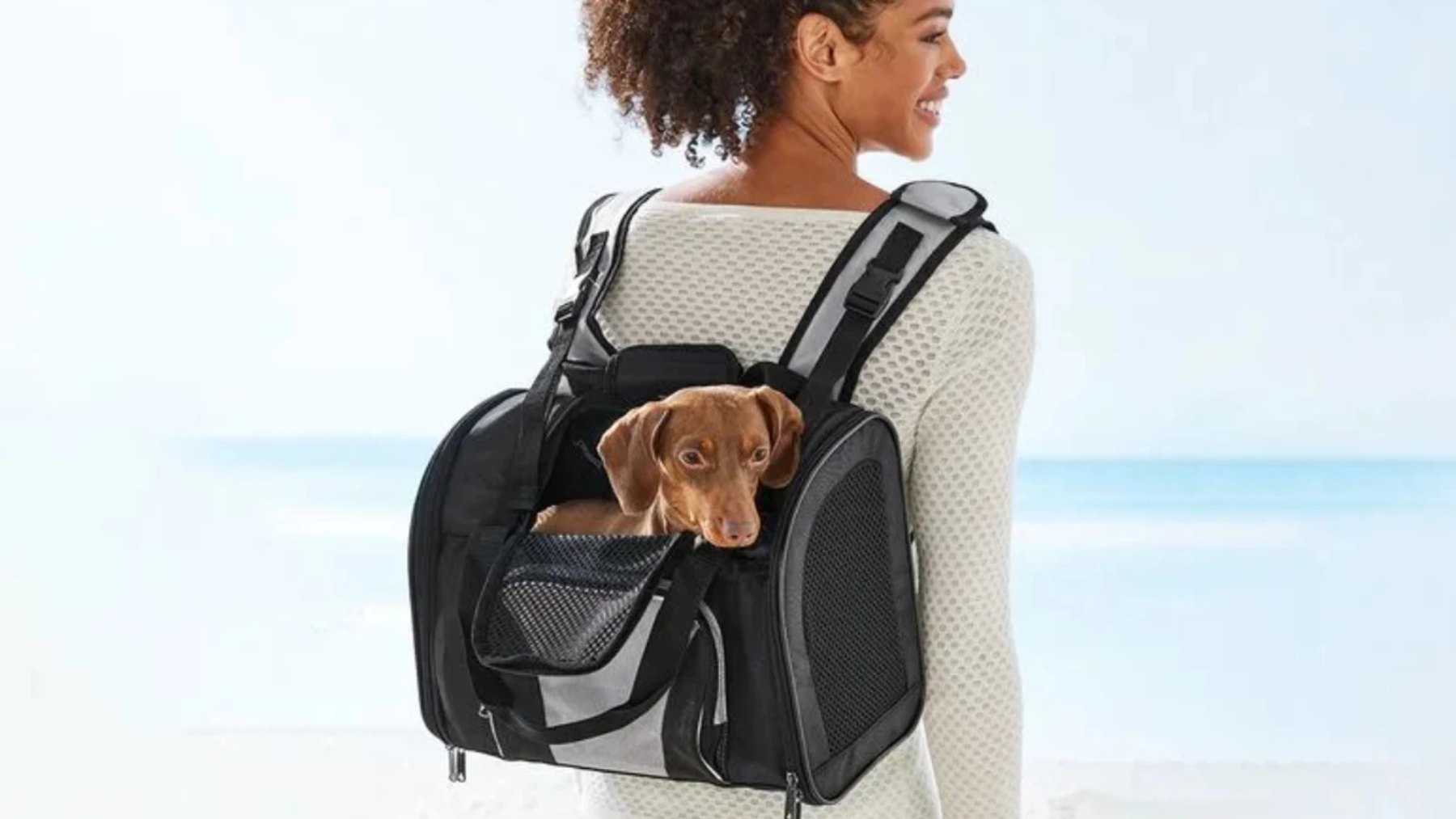 La mochila transporte de perros de Lidl