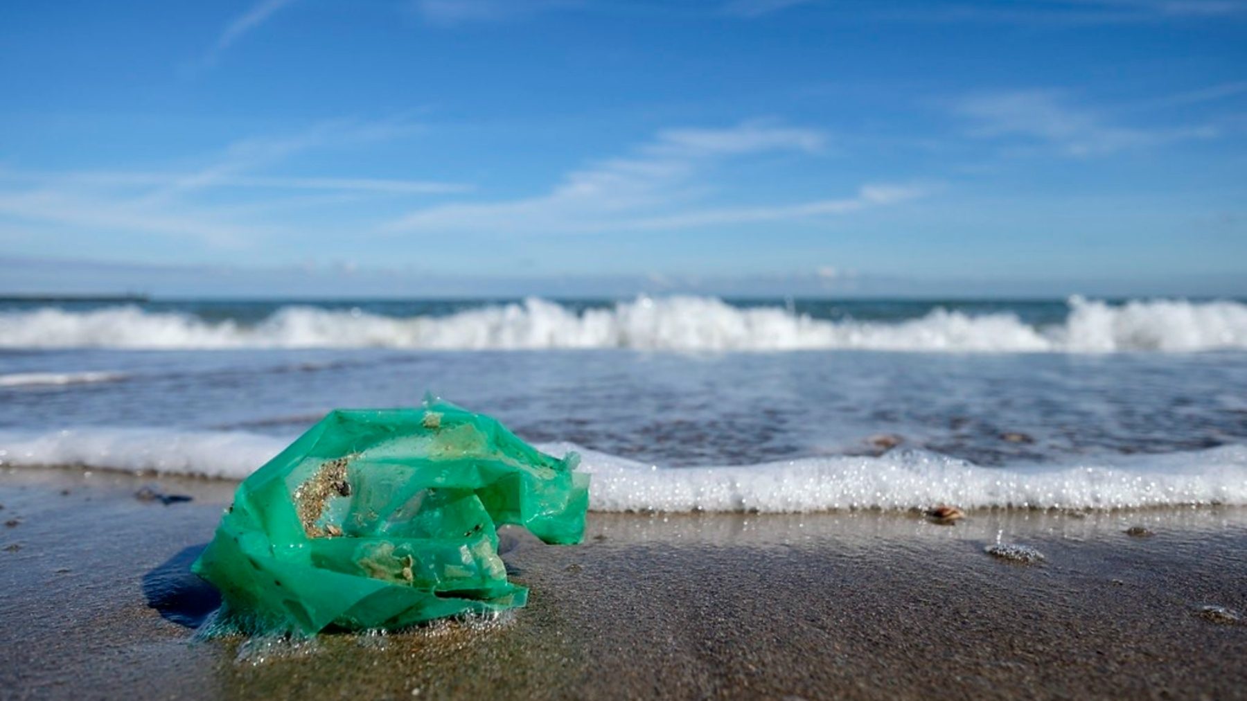 Bolsa de plástico en la orilla de una playa (WOUTER DE BRUIJN).