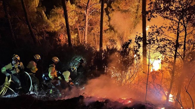 Confinadas dos localidades por el incendio de Sierra Bermeja: Moreno promete «dar caza a los asesinos»