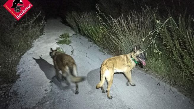 Búsqueda en el Barranco del Infierno