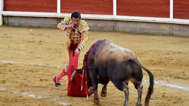 Toros Salamanca