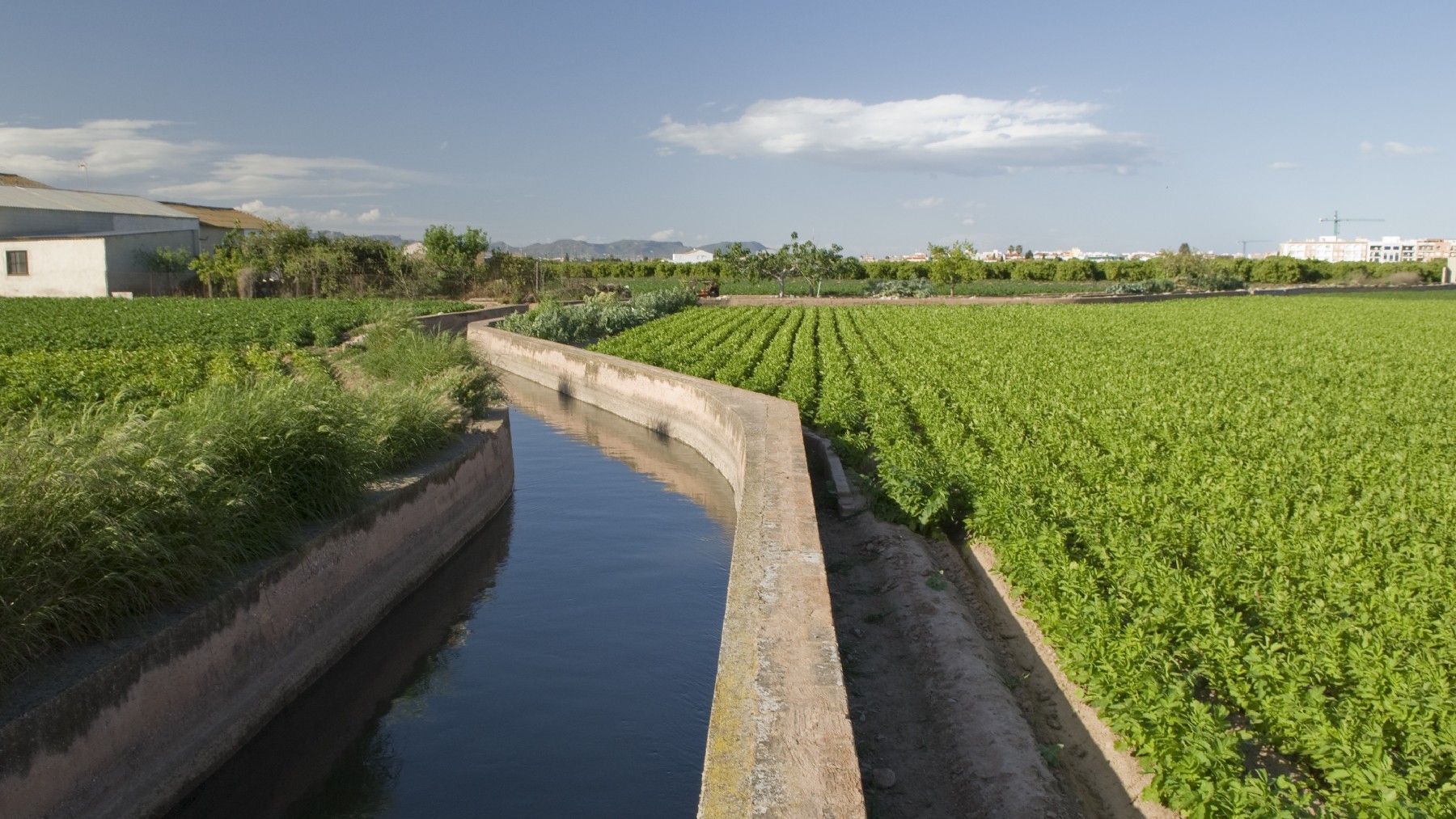 Agricultura (Europa Press)