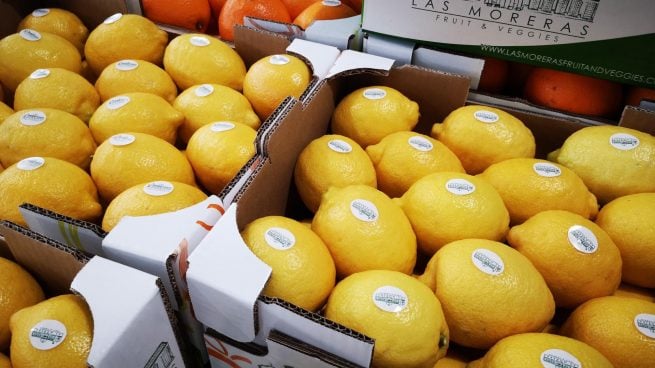 Las Moreras Fruit & Veggies, la nueva marca de TM Grupo Inmobiliario para desarrollar su negocio agrícola