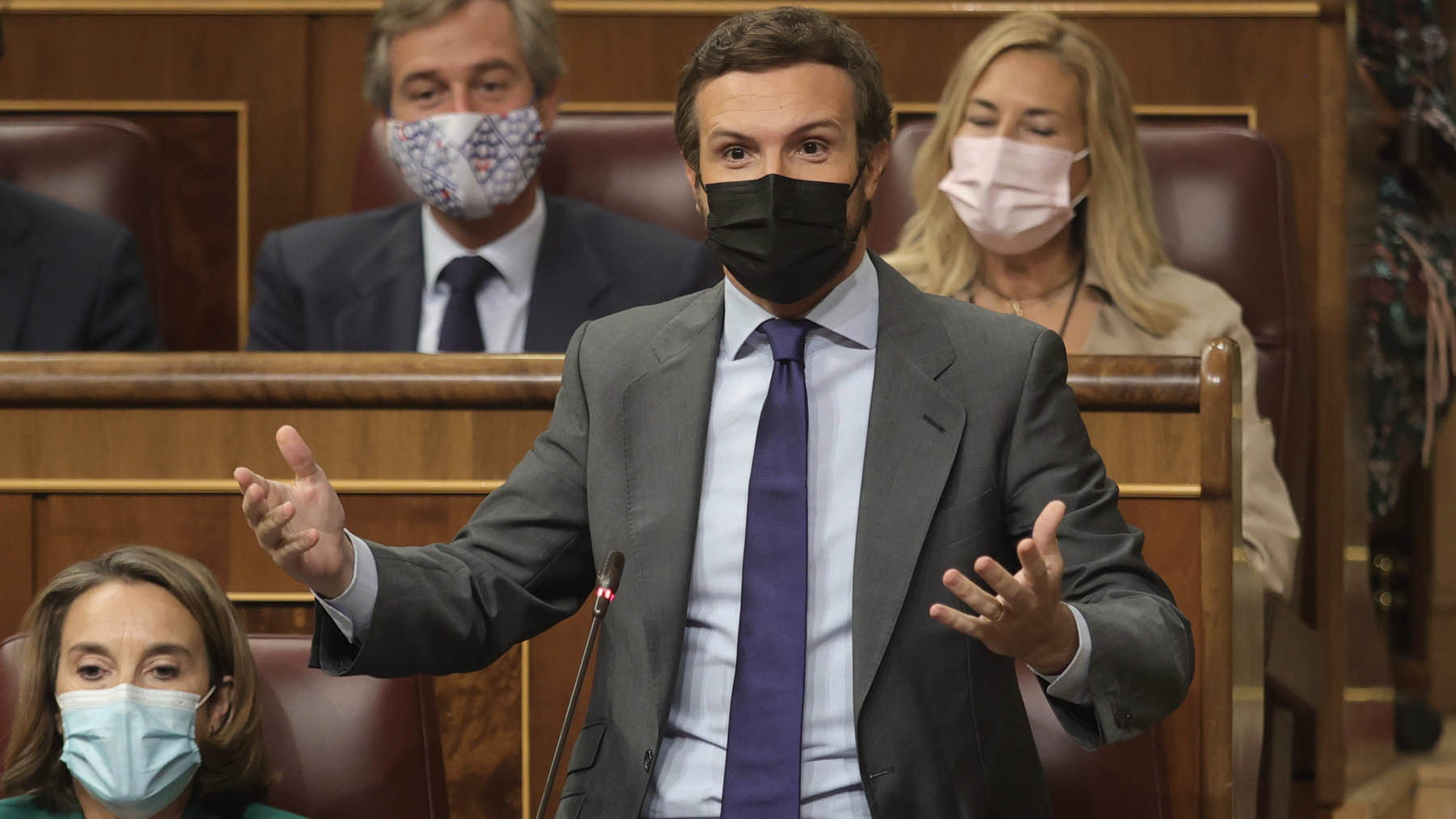 Pablo Casado, en el Congreso.