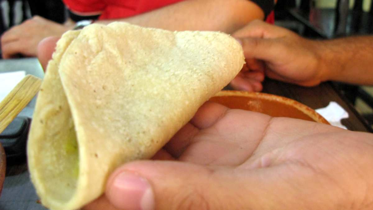 Wraps de pollo con guacamole y salsa de quesos