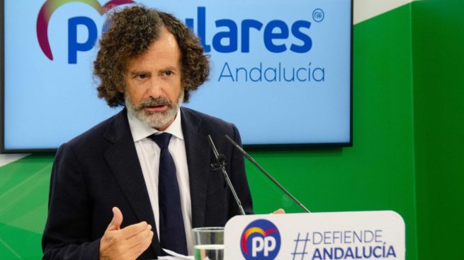El portavoz adjunto del PP en el Parlamento de Andalucía, Pablo Venzal.