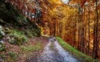 otoño