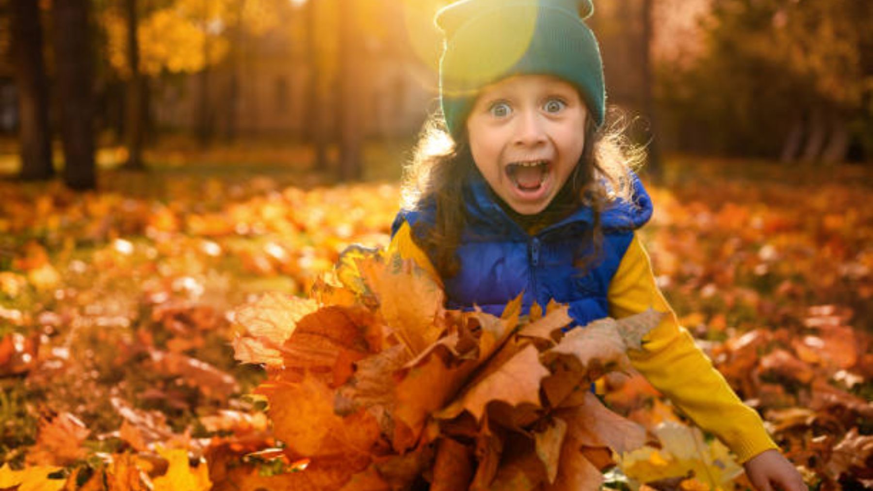 Descubre qué planes puedes hacer con los niños al aire libre en otoño