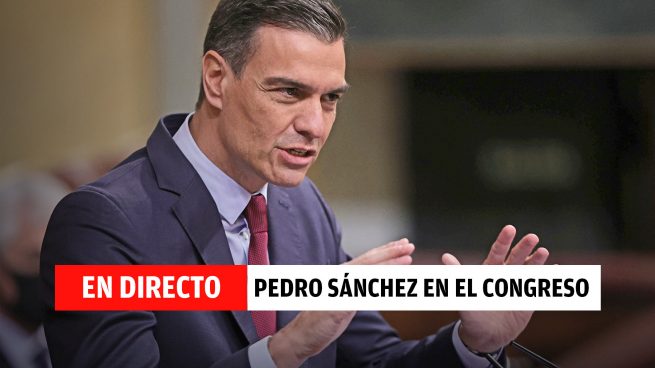 Pedro Sánchez directo