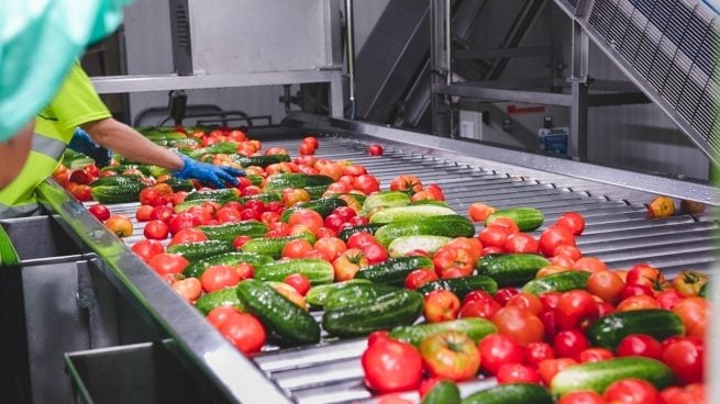Llega a Bruselas el fraude del tomate saharaui vendido como marroquí que hunde a productores andaluces