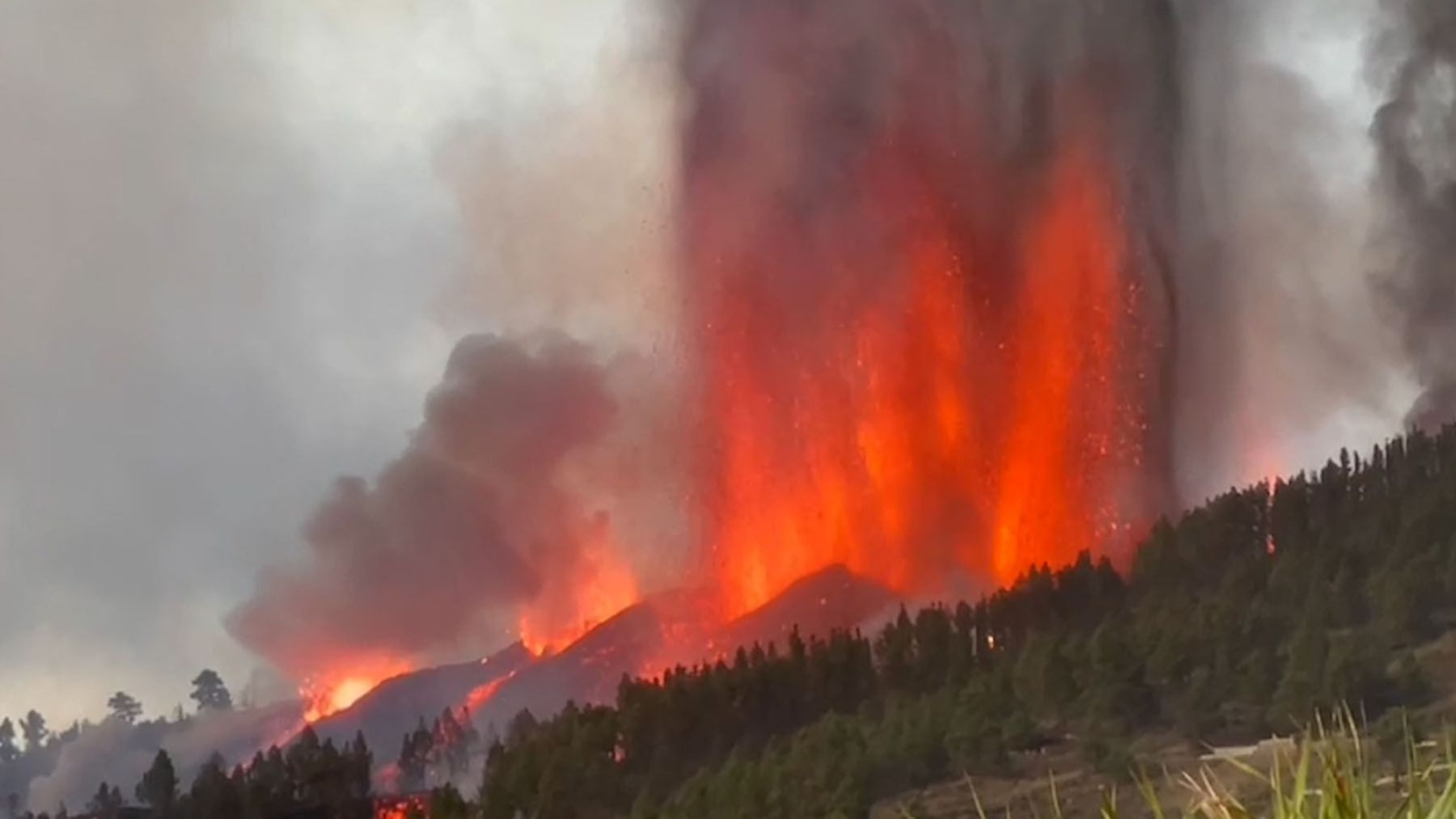 Descubrimos el porqué no se han dado incendios a partir de la erupción en La Palma