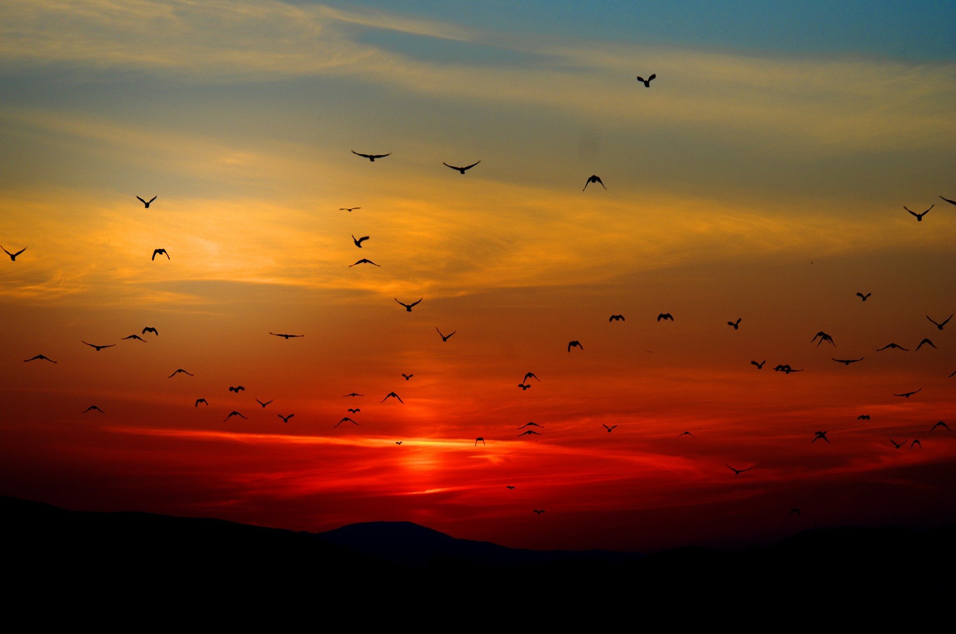 Las razones del por qué el cielo está rojo cuando viene el atardecer