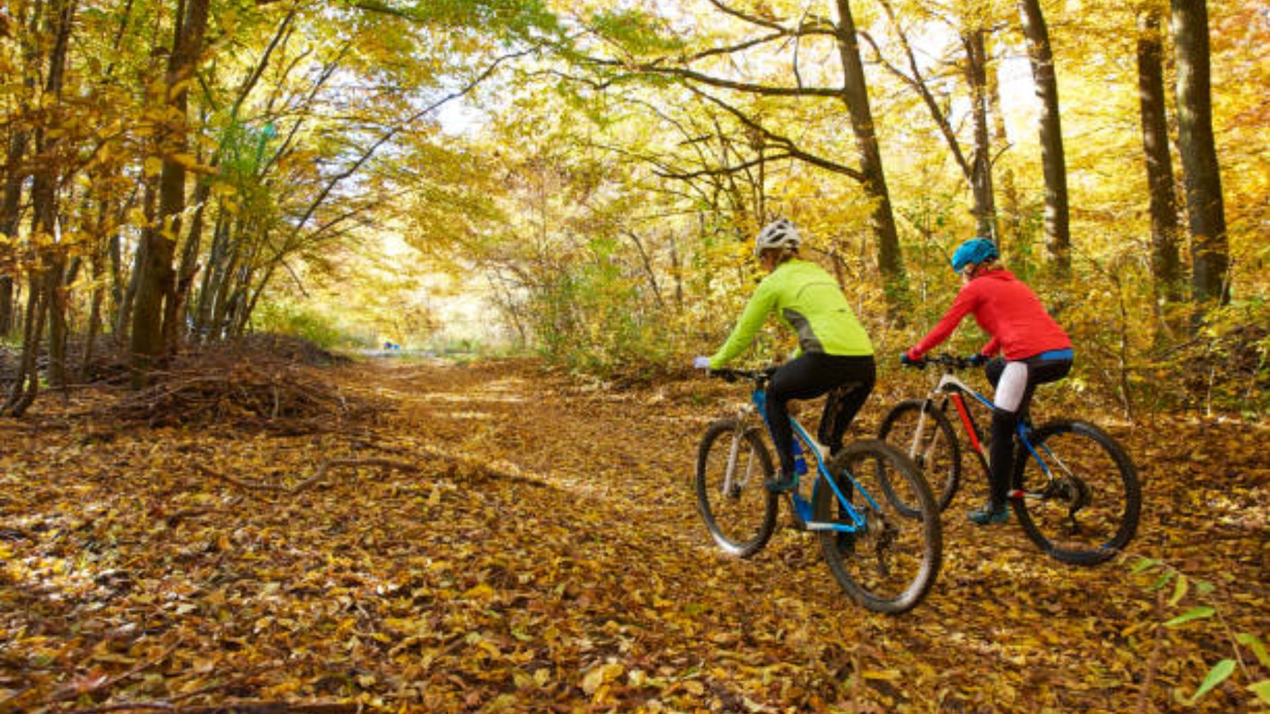 Pautas para gestionar bien el tiempo libre en otoño