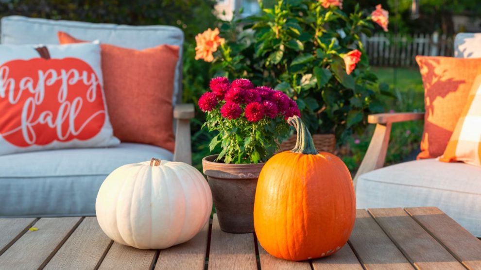 Decorar tu terraza también en otoño. Inspírate en Chafiras