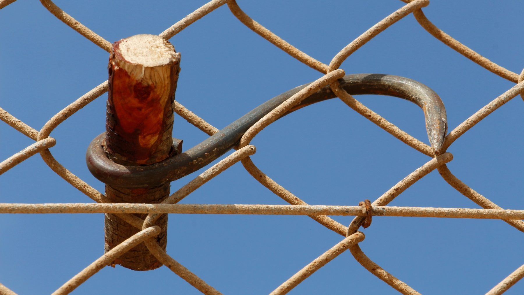 Un garfio empleado por inmigrantes ilegales pende de la valla de Melilla (EUROPA PRESS).