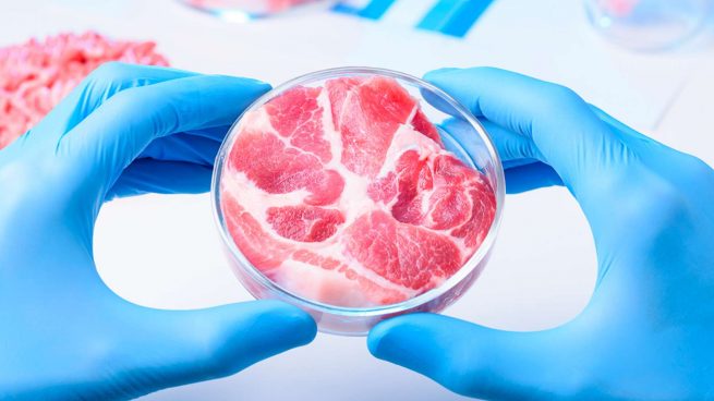 Carne de laboratorio