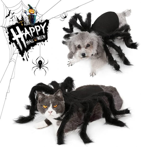 de LKN Disfraz para mascotas ideal para fiestas de Halloween y Navidad para gatos y perros