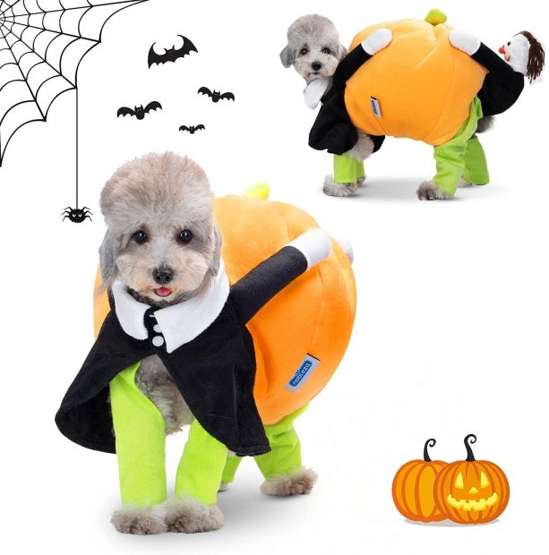 Los disfraces de Halloween para perros y gatos que arrasarán