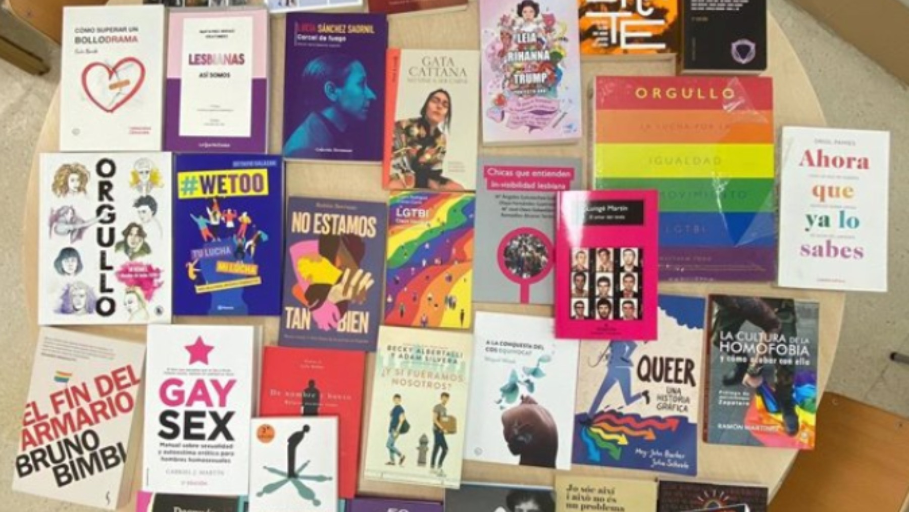 Gay Sex: el libro para adultos que habla de cocinar semen y está en 11 institutos de Castellón