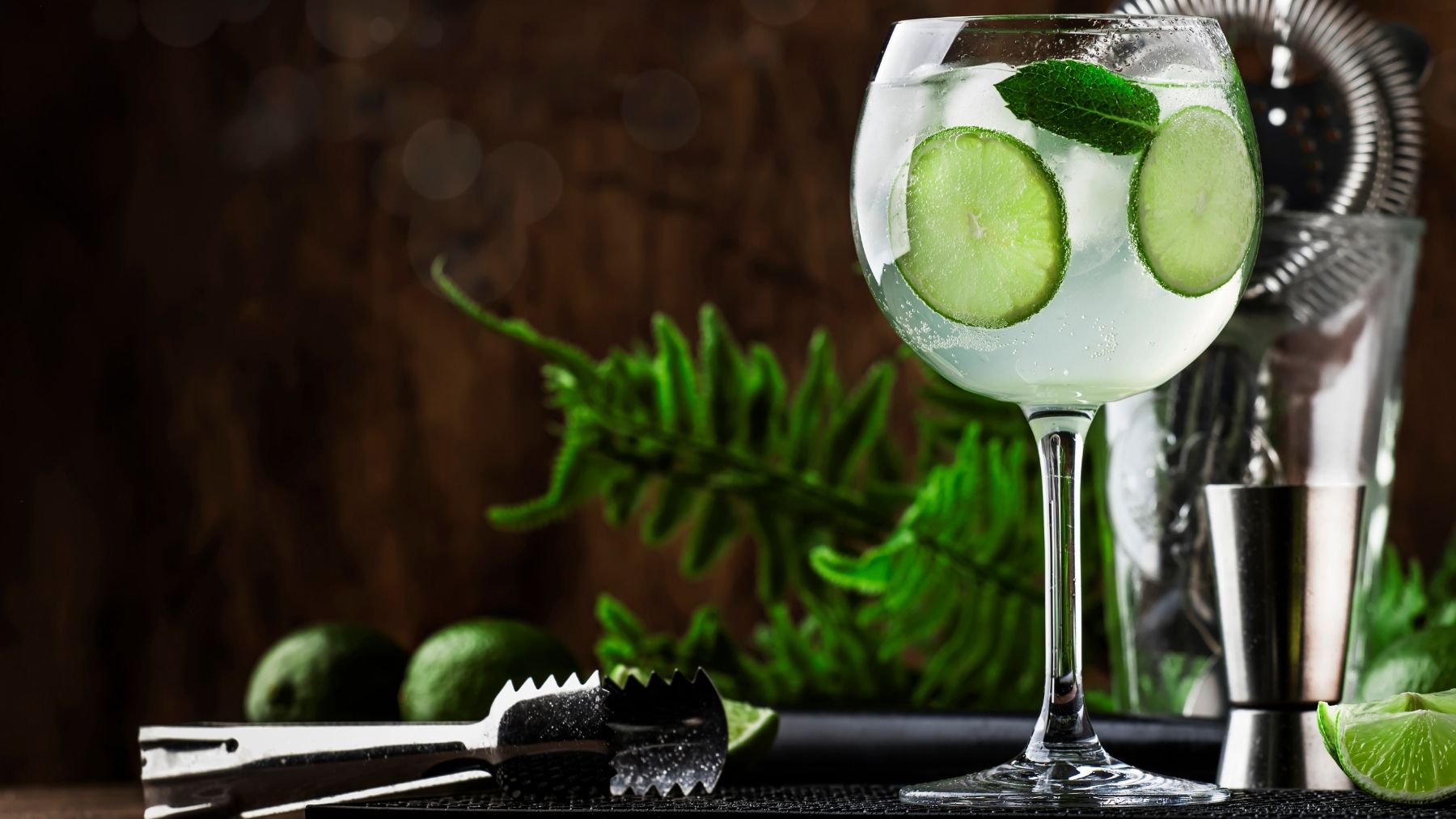 Los mejores gin tonics de Madrid