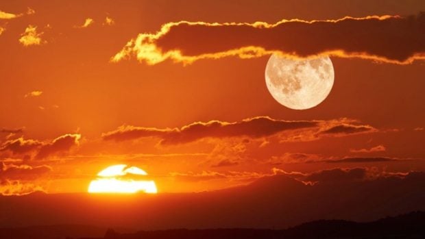 Luna de las flores