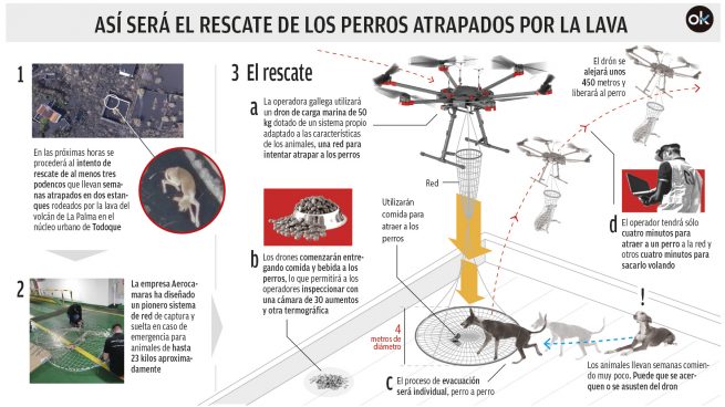 Rescate perros La Palma