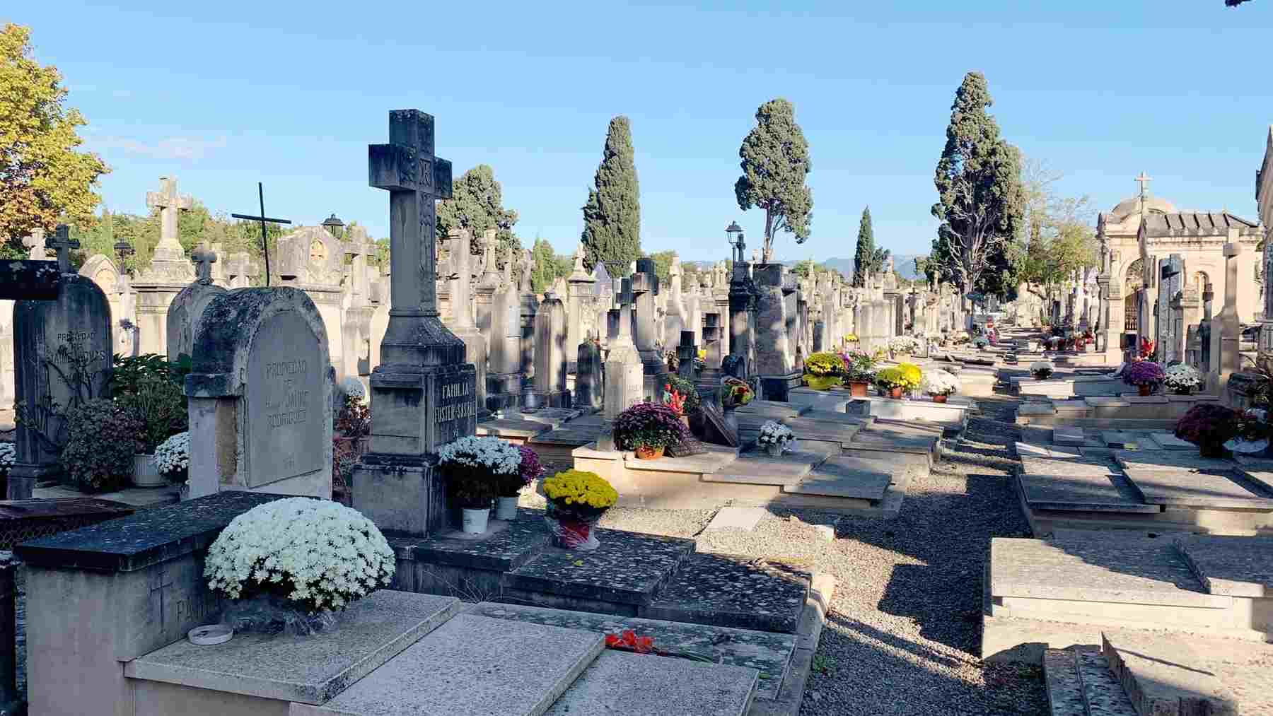 Cementerio de Palma. Foto: Europa Press