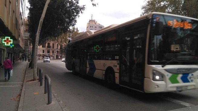Bus Palma