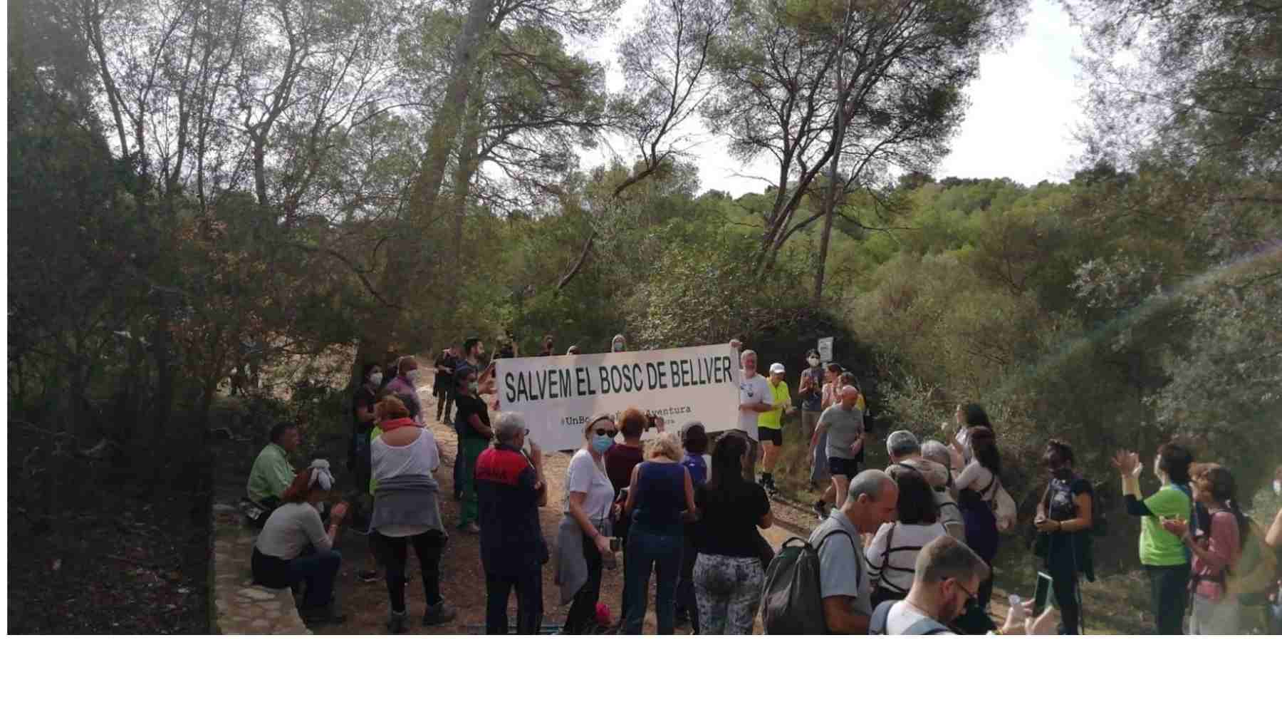 Manifertación contra el parque de aventuras del bosque de Bellver.