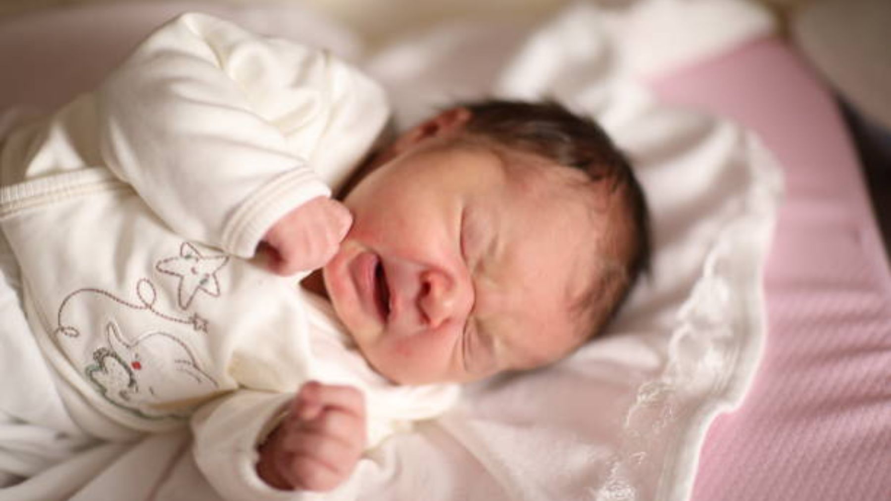 a la deriva acortar cápsula Primera semana con el bebé: los consejos que cambiarán tu vida