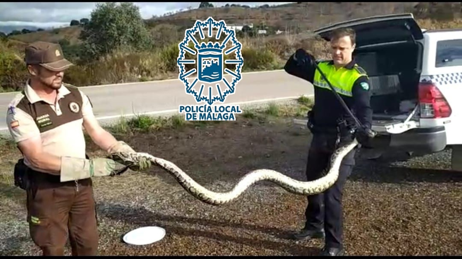 Guarda rural y agente del Grupona de la Policía Local de Málaga con la serpiente pitón (POLICÍA LOCAL DE MÁLAGA).