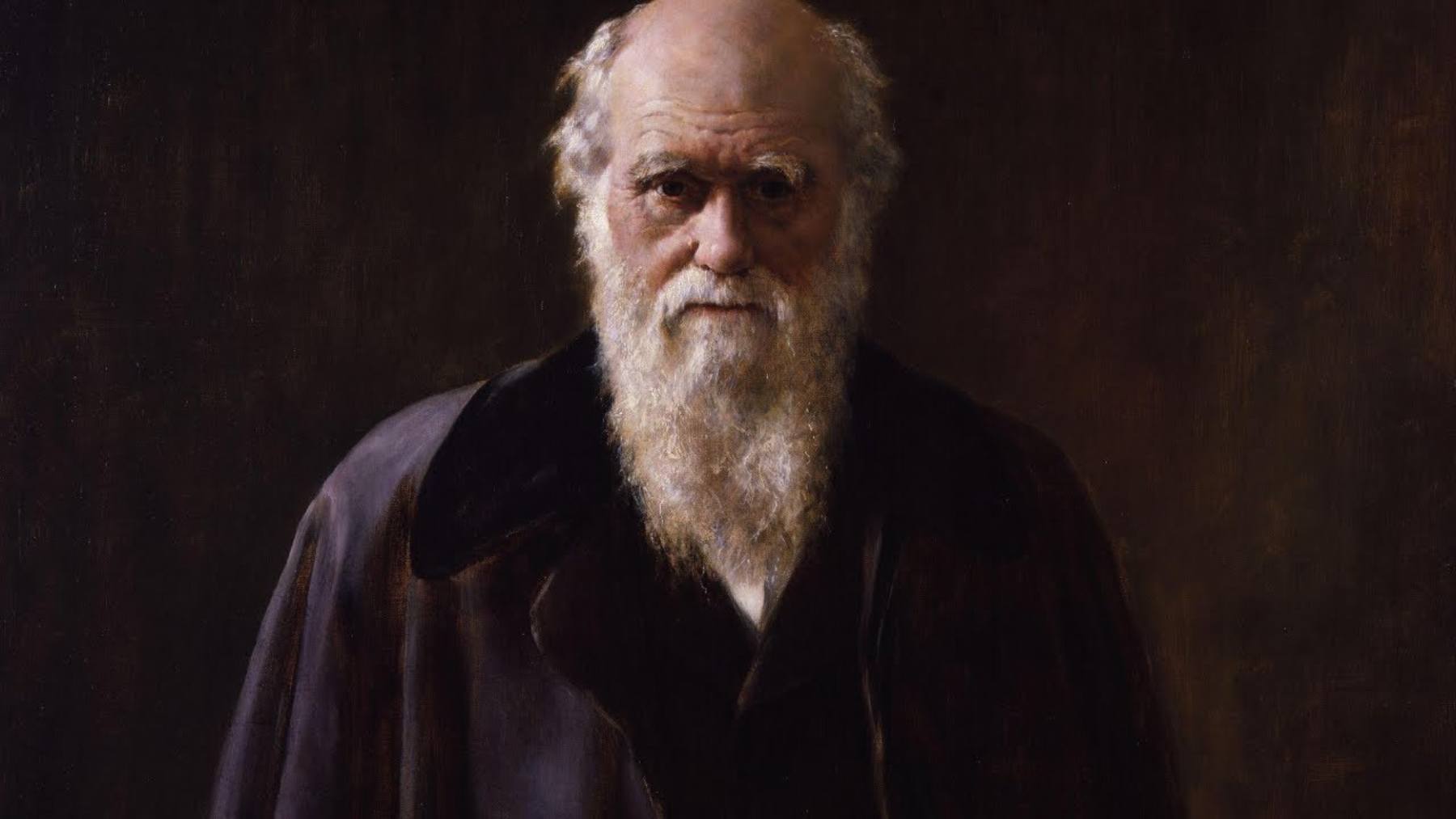 5 anécdotas Darwin