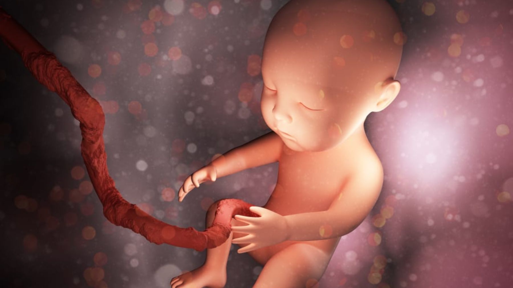 Las extraordinarias habilidades del bebé en el útero