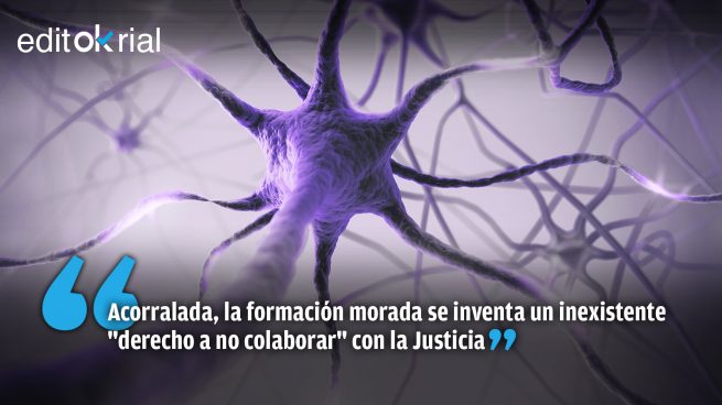 Editorial Neurona