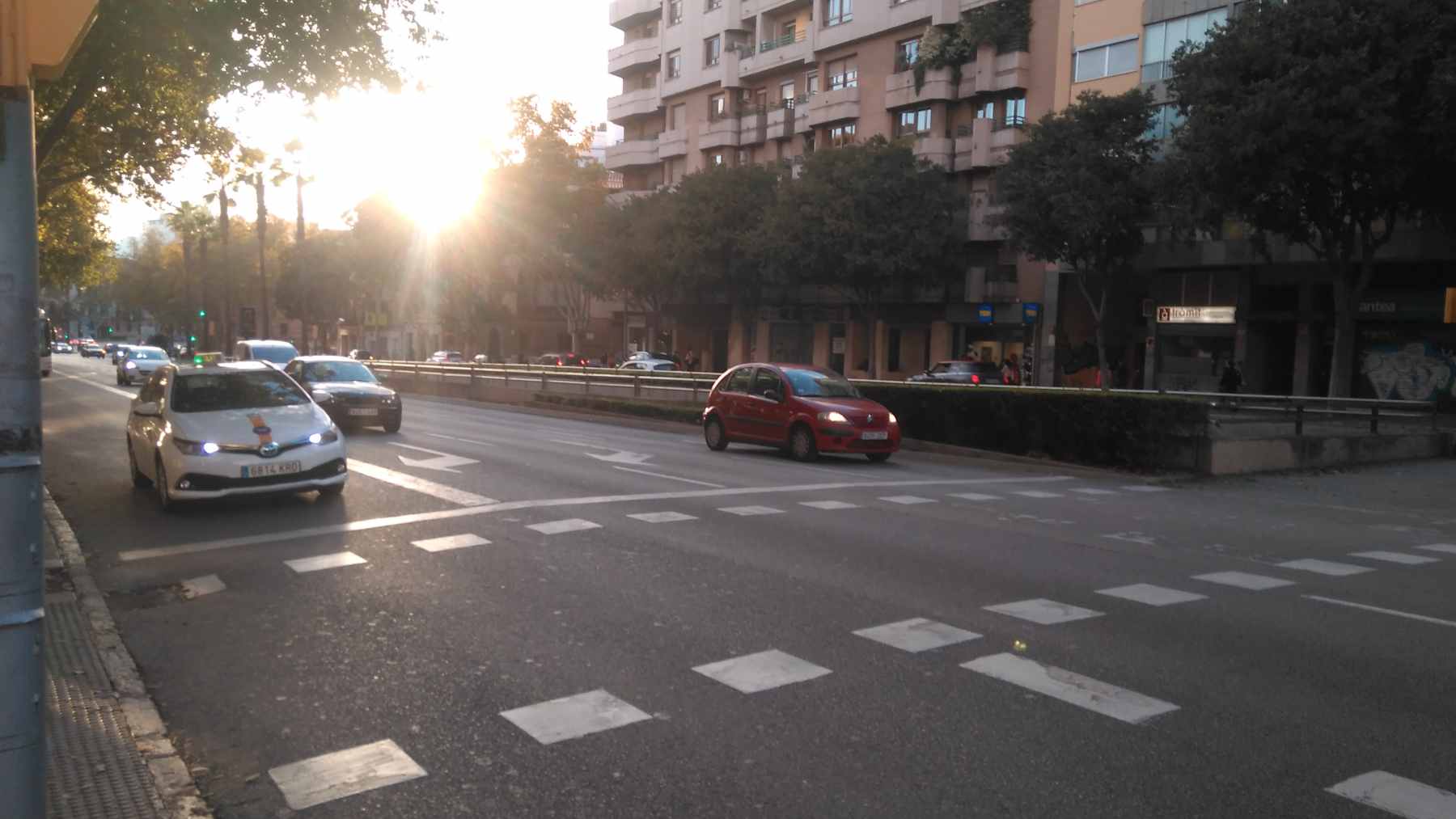 Imagen de las Avenidas de Palma de Mallorca.