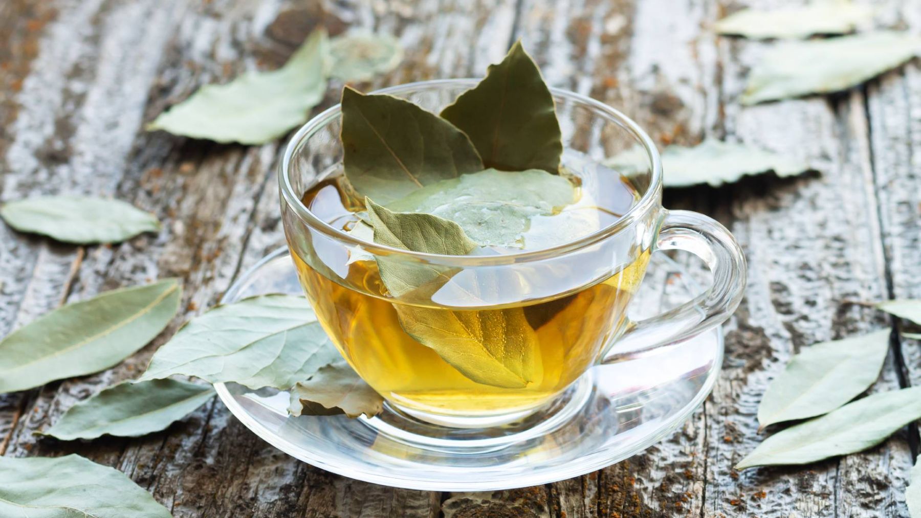 Descubre cuáles son todos los beneficios del té de laurel