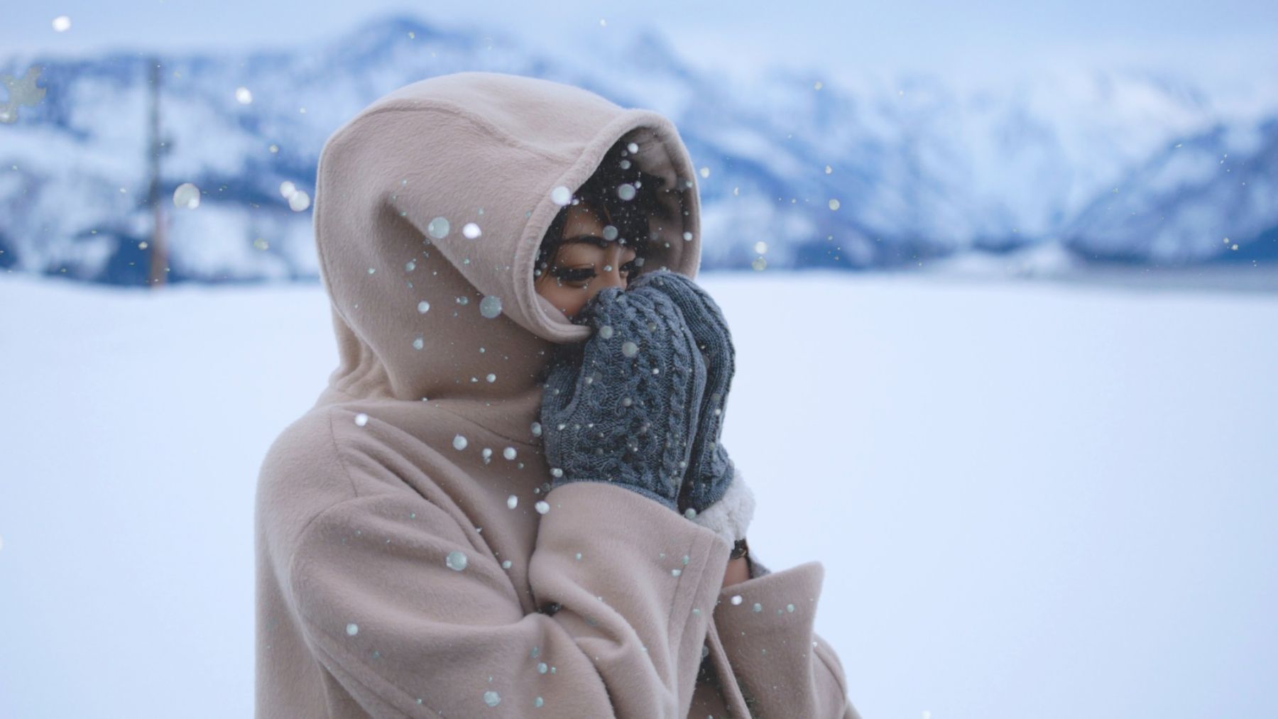 Descubre los mejores abrigos para protegerte del frío