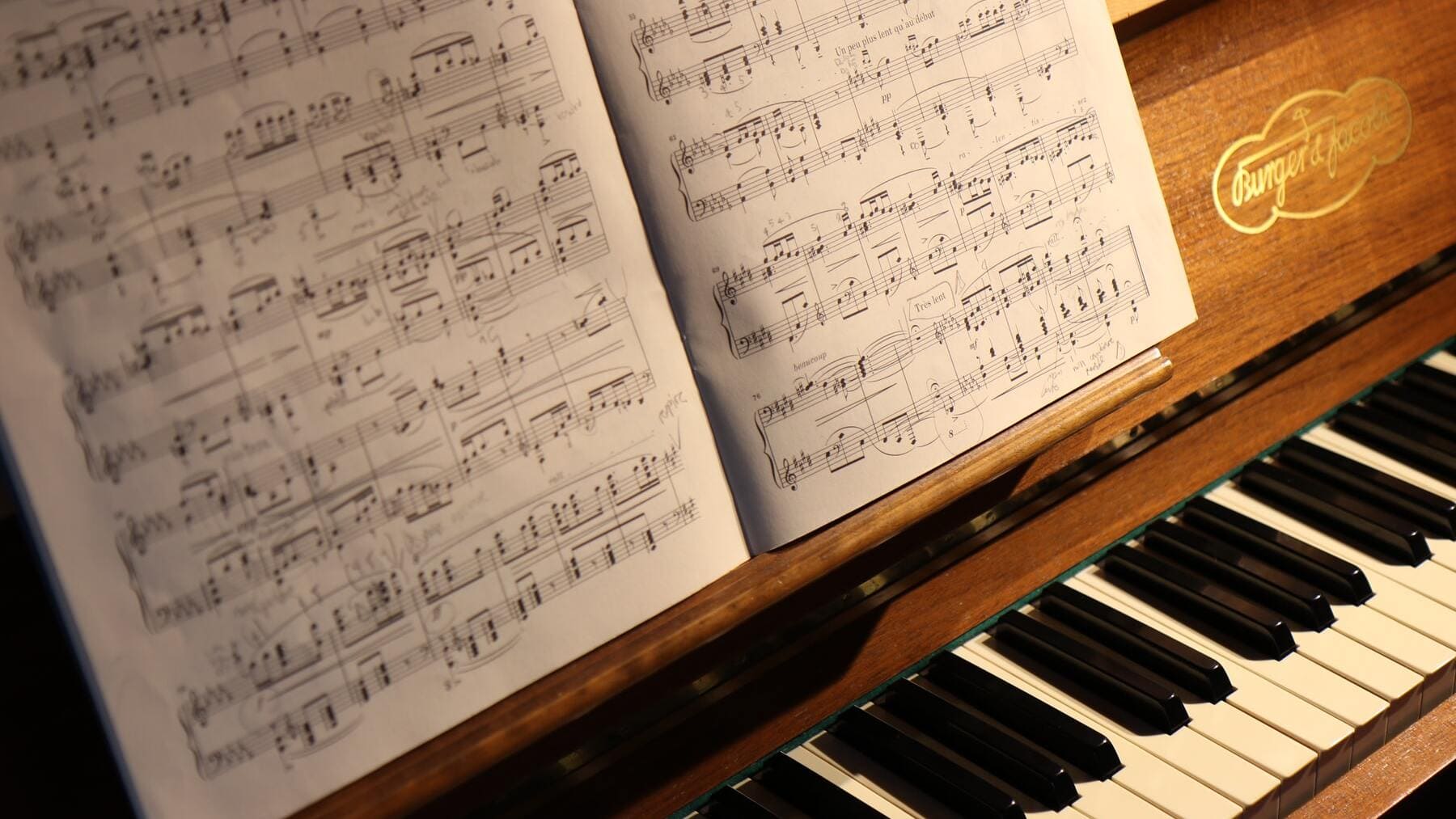 tomar Sentimiento de culpa Musgo Las curiosidades más sorprendentes del piano
