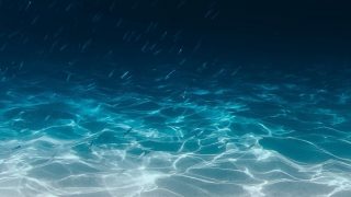 Fondo del mar