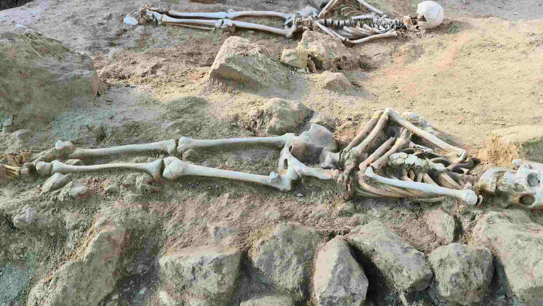 Imagen de los restos humanos encontrados en el Castillo de Bellver de Palma.